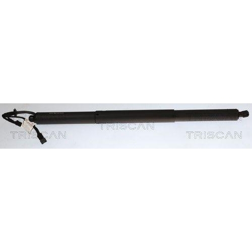 TRISCAN Gasfeder, Koffer-/Laderaum 8710 11371