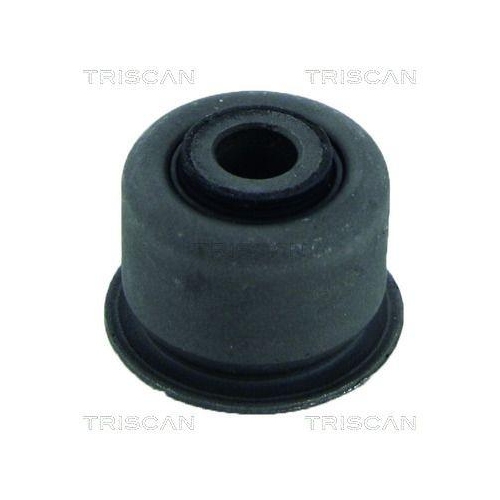 TRISCAN Lagerung, Lenker