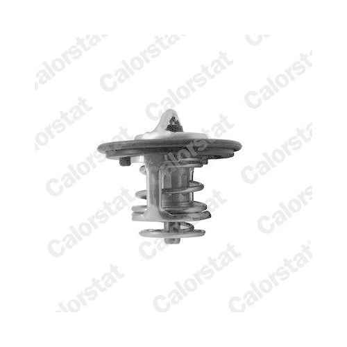 CALORSTAT by Vernet Thermostat, Kühlmittel TH7413.82J