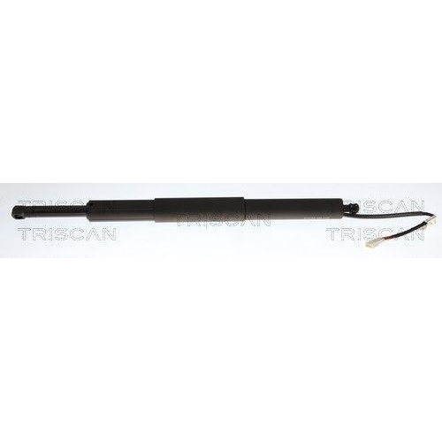 TRISCAN Gasfeder, Koffer-/Laderaum 8710 11378