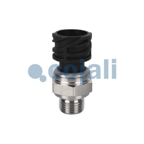 COJALI Sensor 2260283