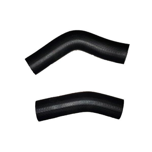 BUGIAD Ladeluftschlauch 88785