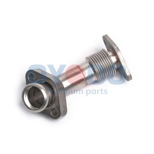 Oyodo Rohrleitung, AGR-Ventil