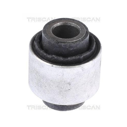 TRISCAN Lagerung, Lenker