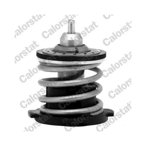 CALORSTAT by Vernet Thermostat, Kühlmittel TH7274.80