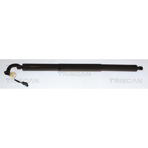 TRISCAN Gasfeder, Koffer-/Laderaum 8710 11373