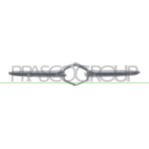 PRASCO Zier-/Schutzleiste, Sto&szlig;f&auml;nger SZ0542226