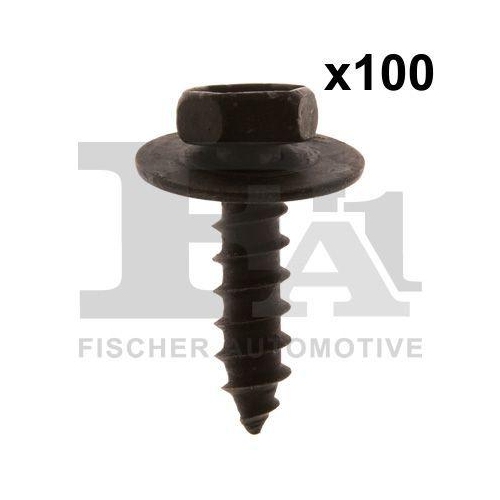 FA1 Schraube 77-70011.100