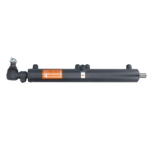 REINHOCH Arbeitszylinder, Servolenkung RH59-1005