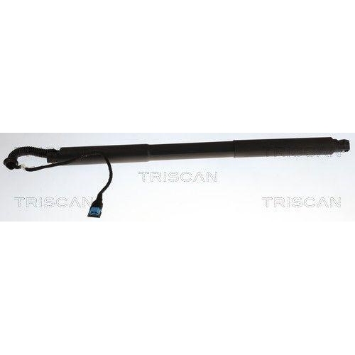 TRISCAN Gasfeder, Koffer-/Laderaum 8710 11374