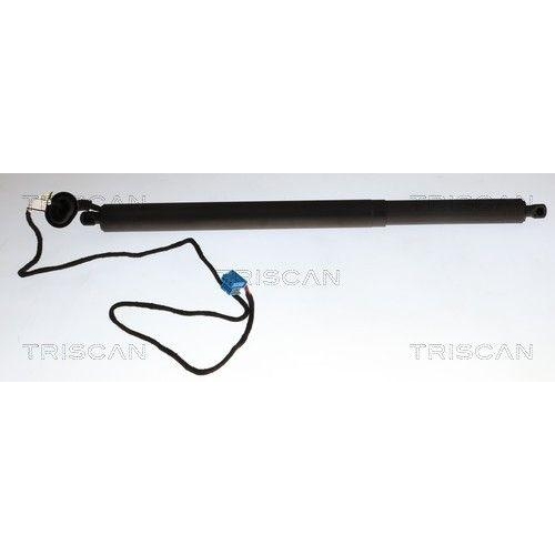 TRISCAN Gasfeder, Koffer-/Laderaum 8710 23319