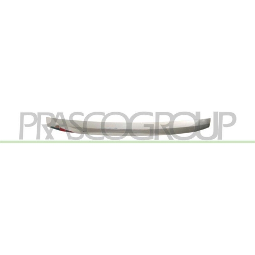 PRASCO Zier-/Schutzleiste, Sto&szlig;f&auml;nger SZ0542236