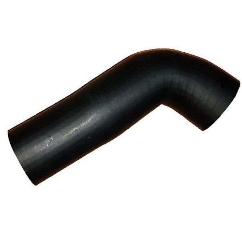 BUGIAD Ladeluftschlauch 88833