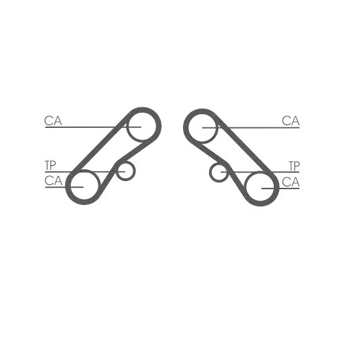CONTINENTAL CTAM Zahnriemen CT1074