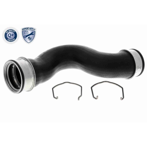 VAICO Ladeluftschlauch EXPERT KITS +