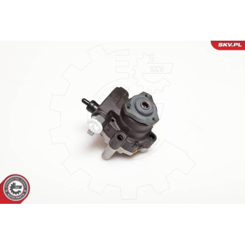 ESEN SKV Hydraulikpumpe, Lenkung