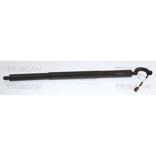 TRISCAN Gasfeder, Koffer-/Laderaum 8710 29353