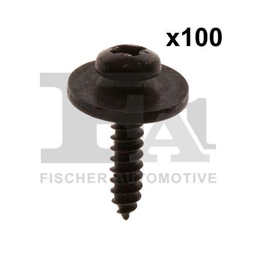 FA1 Schraube 33-70006.100
