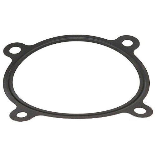 ELRING Dichtung, Ansaugkrümmergehäuse