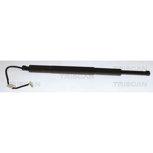 TRISCAN Gasfeder, Koffer-/Laderaum 8710 11376
