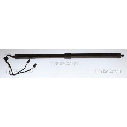 TRISCAN Gasfeder, Koffer-/Laderaum 8710 38301