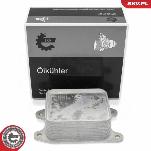 ESEN SKV &Ouml;lk&uuml;hler, Motor&ouml;l 31SKV287
