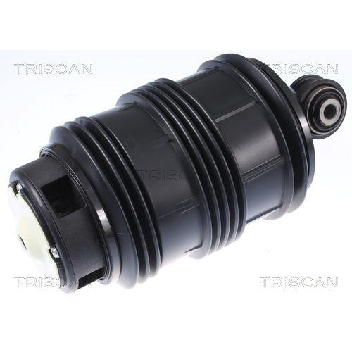 TRISCAN Luftfeder, Fahrwerk