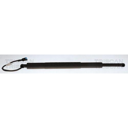 TRISCAN Gasfeder, Koffer-/Laderaum 8710 11377