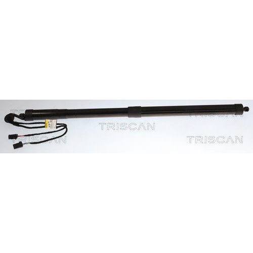 TRISCAN Gasfeder, Koffer-/Laderaum 8710 38302