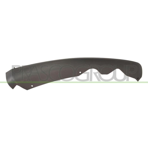 PRASCO Spoiler FD1141813