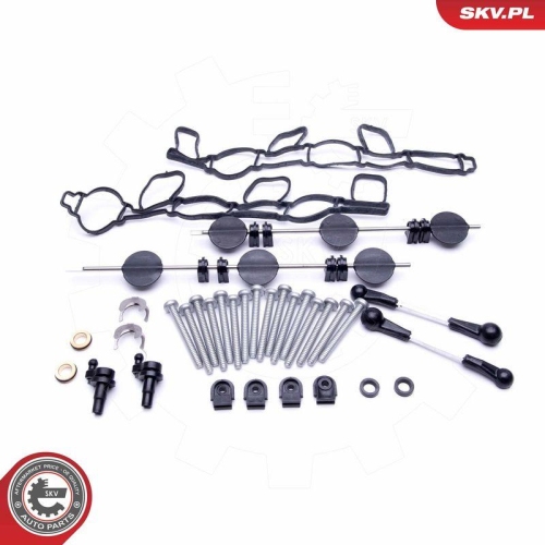 ESEN SKV Reparatursatz, Saugrohrmodul 49SKV501