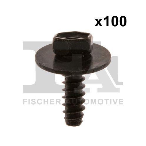 FA1 Schraube 78-70002.100