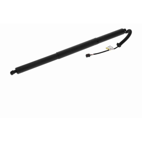 ACKOJA Elektromotor, Heckklappe Green Mobility Parts