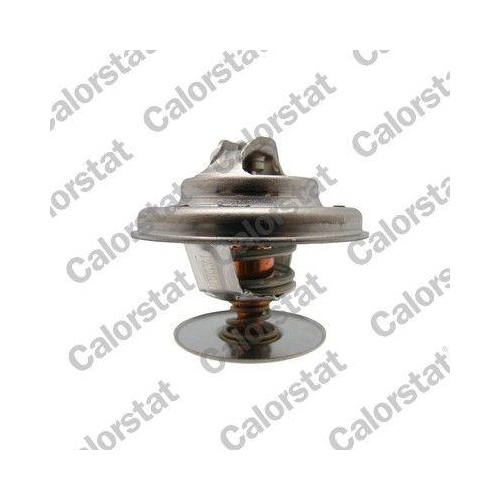 CALORSTAT by Vernet Thermostat, K&uuml;hlmittel TH7519.87J