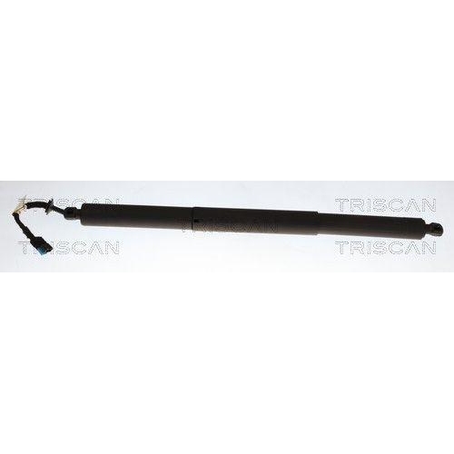 TRISCAN Gasfeder, Koffer-/Laderaum 8710 11380