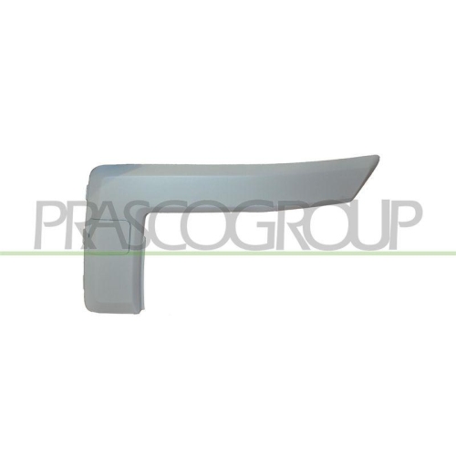 PRASCO Zier-/Schutzleiste, Sto&szlig;f&auml;nger FD3521234