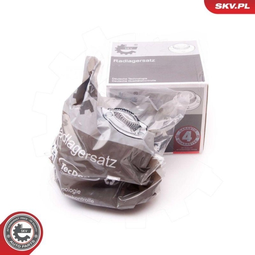 ESEN SKV Radlagersatz 29SKV132