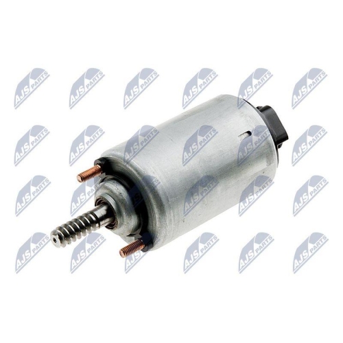 NTY Stellelement, Exzenterwelle (variabler Ventilhub) ERZ-BM-000