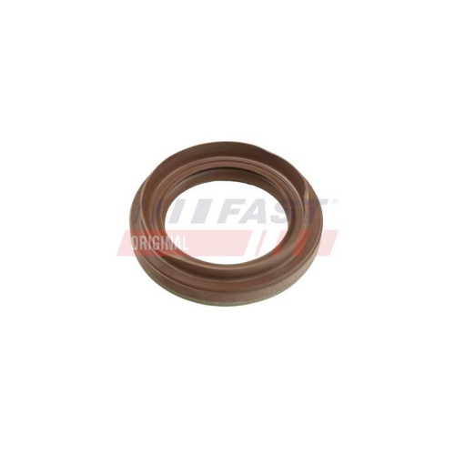 FAST Wellendichtring, Differential FT49863