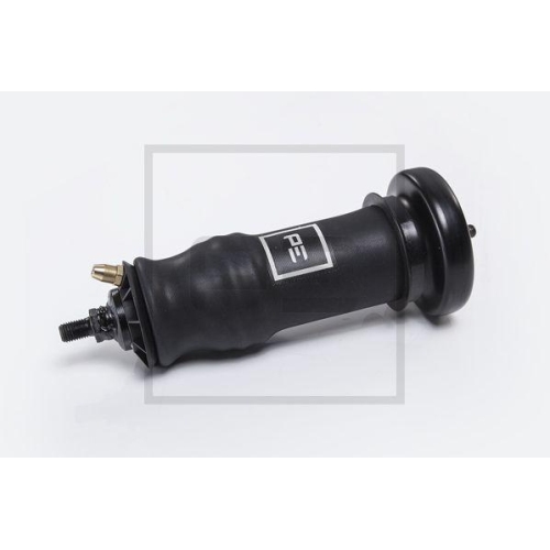 PE Automotive D&auml;mpfer, Fahrerhauslagerung 123.166-00A