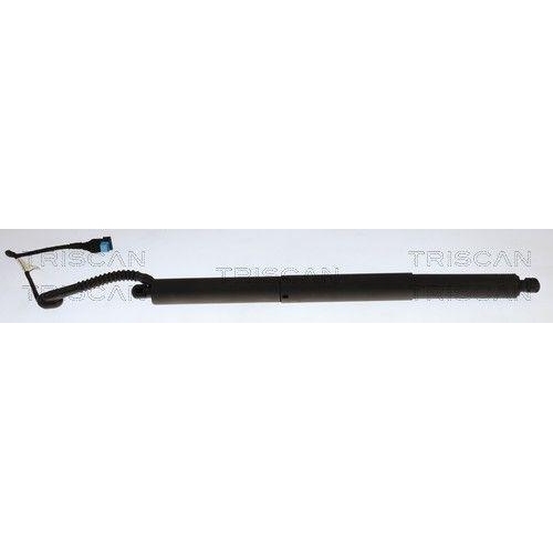 TRISCAN Gasfeder, Koffer-/Laderaum 8710 11382