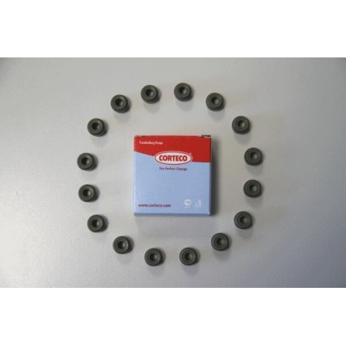 CORTECO Dichtungssatz, Ventilschaft 19036874