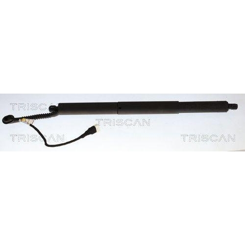 TRISCAN Gasfeder, Koffer-/Laderaum 8710 11383