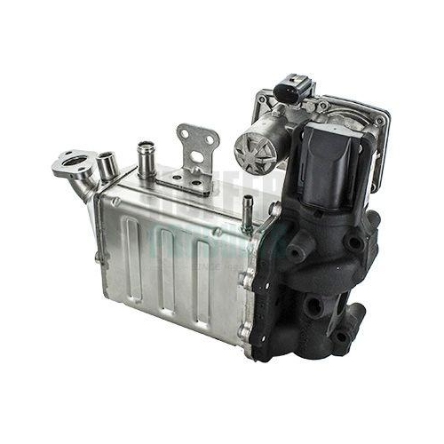 HOFFER AGR-Ventil 7518373