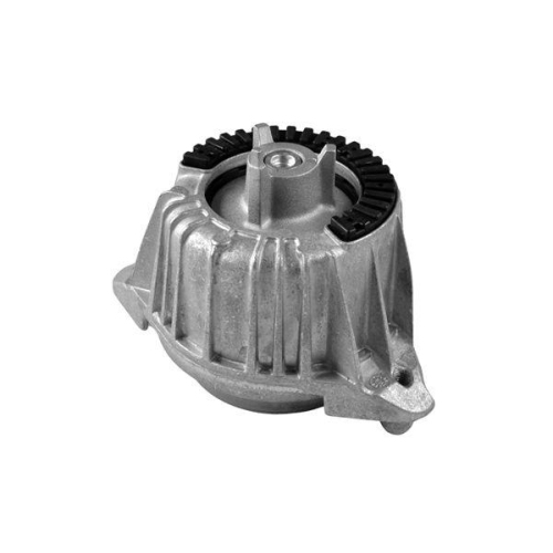 TEDGUM Lagerung, Motor TED53841