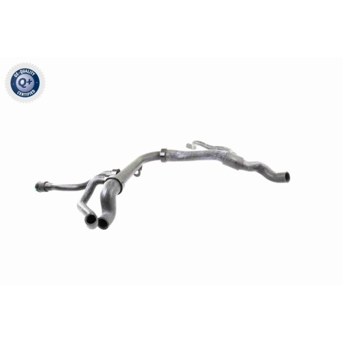 VAICO K&uuml;hlerschlauch Q+, Erstausr&uuml;sterqualit&auml;t V40-1757