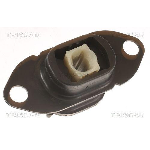 TRISCAN Lagerung, Motor 8505 10125
