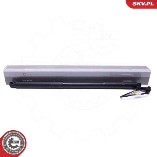 ESEN SKV Elektromotor, Heckklappe