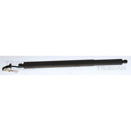 TRISCAN Gasfeder, Koffer-/Laderaum 8710 11384