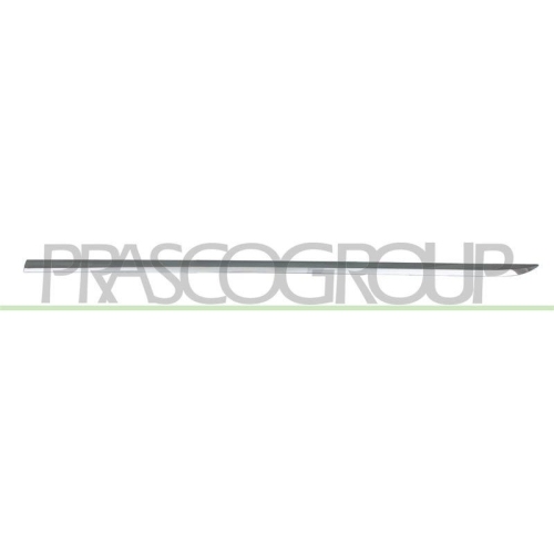 PRASCO Zier-/Schutzleiste, T&uuml;r ME0451453